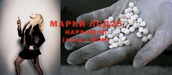 стафф Вяземский