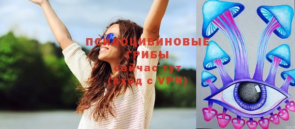 стафф Вяземский
