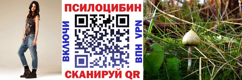 где найти наркотики  Калининск  Псилоцибиновые грибы прущие грибы 